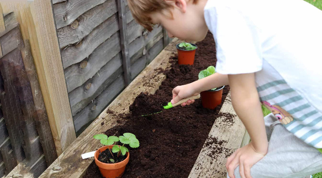 A boy working on plants in the garden