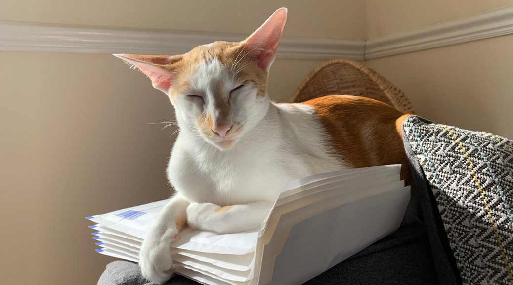 A cat resting on envelopes
