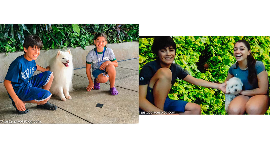 Recreating kids photo with dog