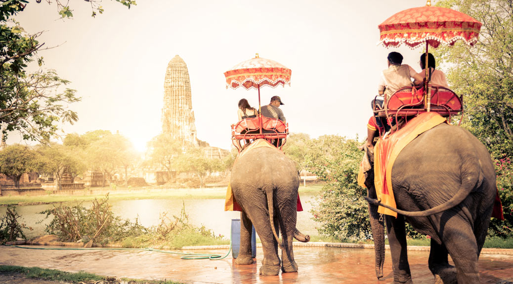 Tourists in elephant in Ayutthaya, Thailand