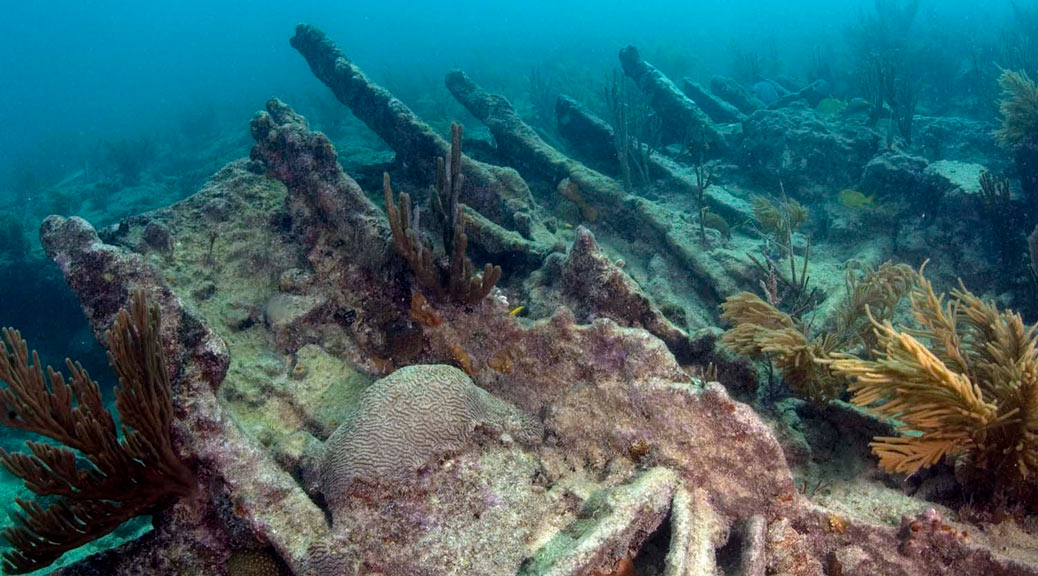 Underwater world in Florida 