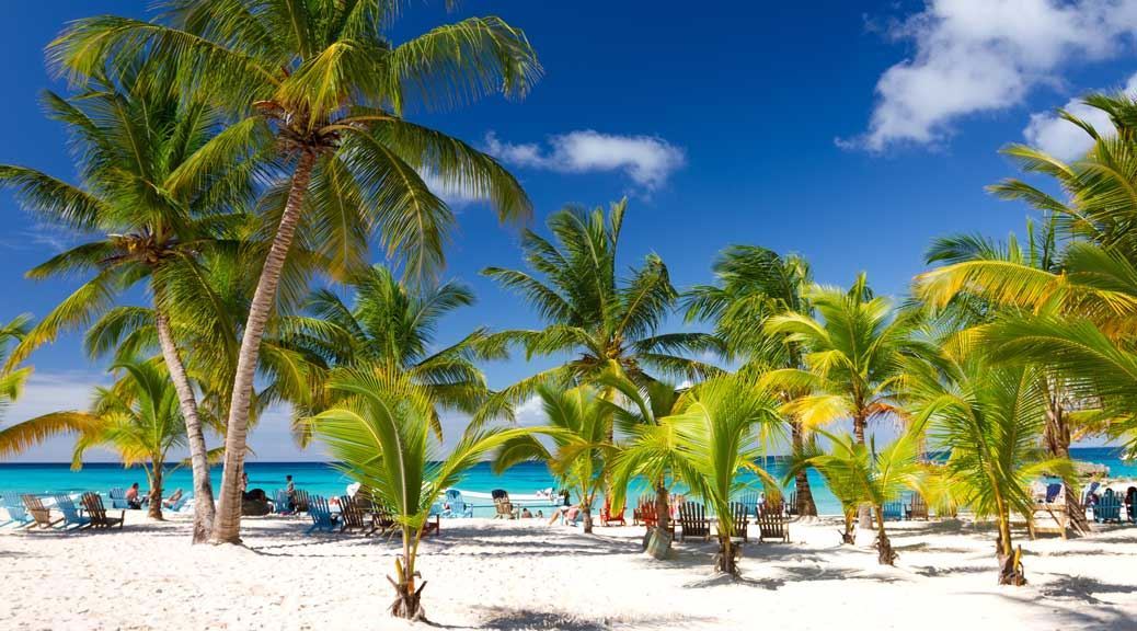 saona beach palm holiday family couple dominican republic caribbean