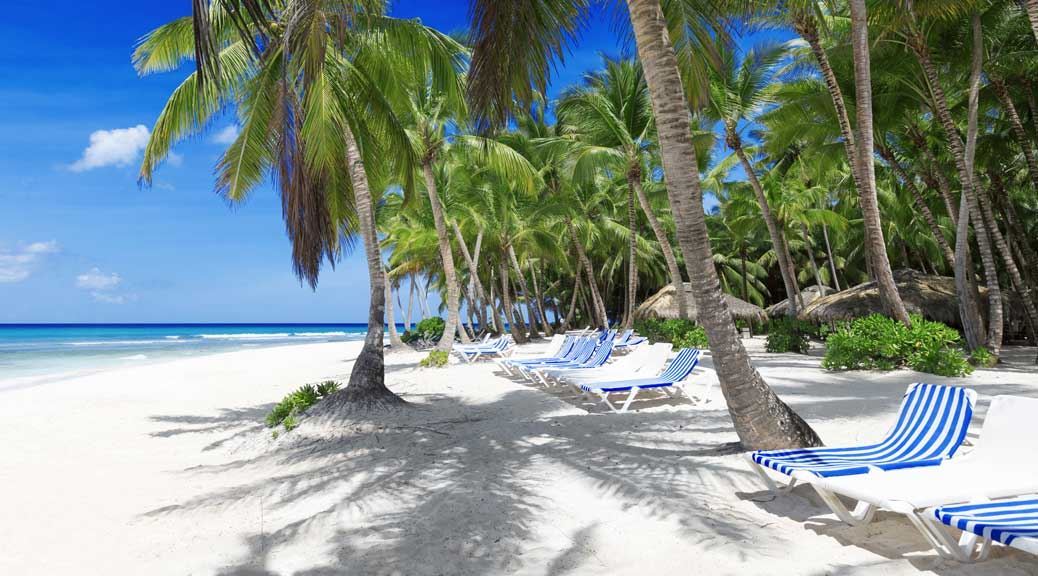 Beautiful white sand beach with sun beds in the shades of tropical trees