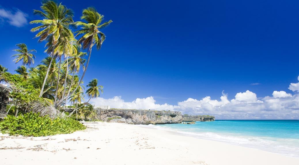 Tropical trees on white sand beach at bottom bay of Barbados