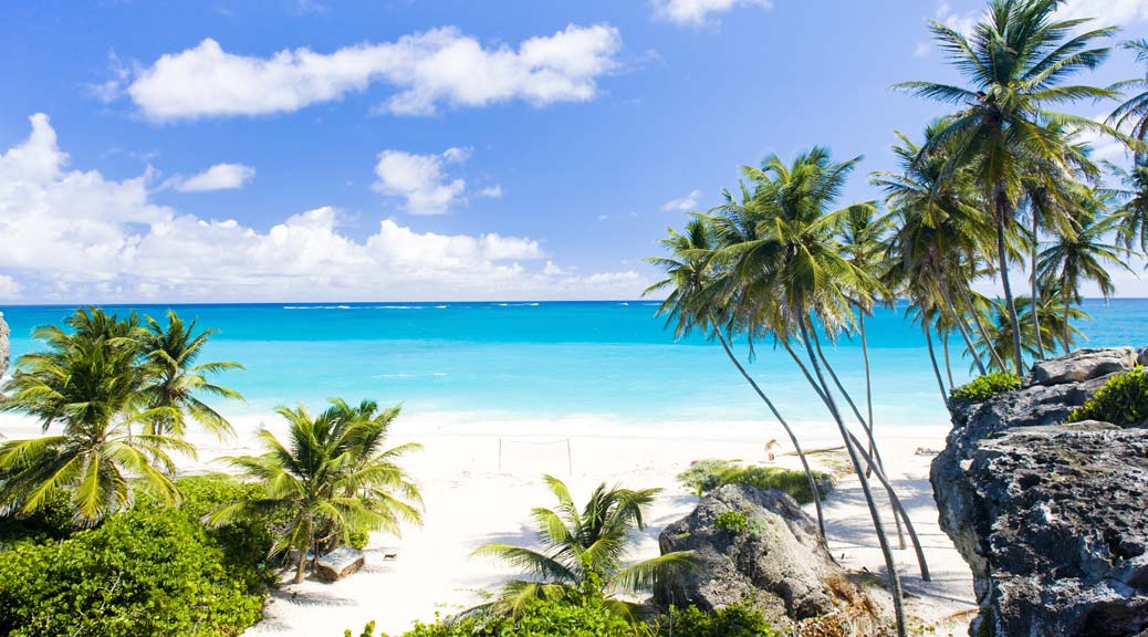 beautiful beach in barbados caribbean island
