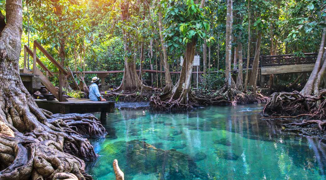 tourist sitting by a emerald pool in a mangrove forest in krabi island thailand
