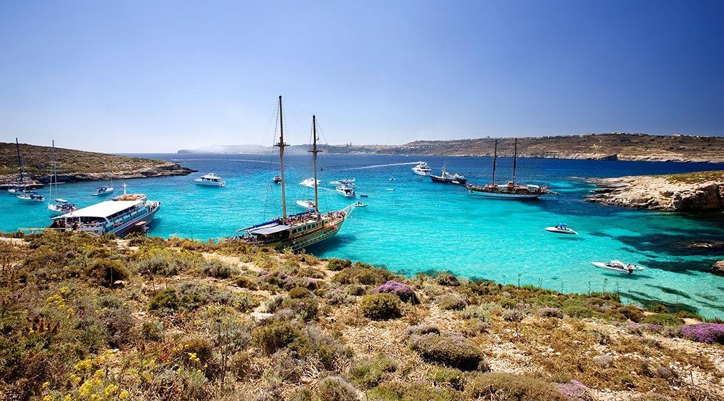 Traditional and modern cruise ships in the clear water bay of gozo surrounded with green fields