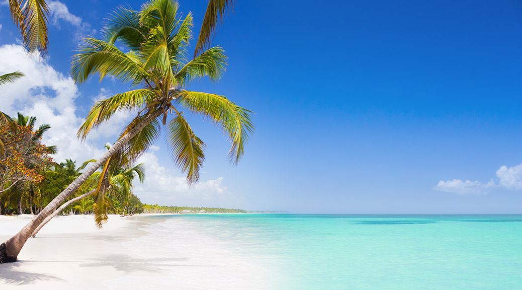 clear turquoise water touching the white sand beach with tropical trees leaning towards the sea on a sunny day
