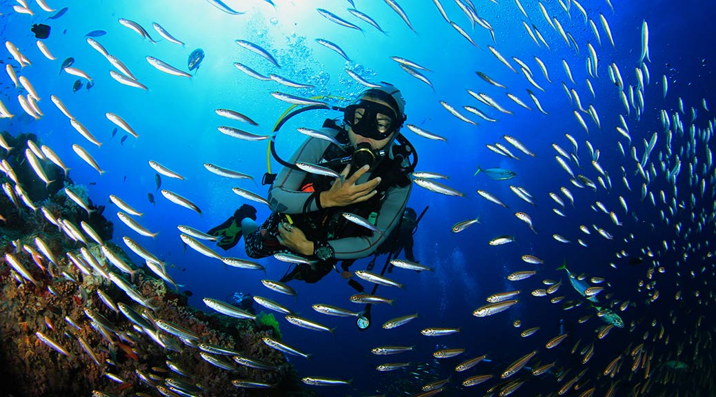 scuba-diving-with-fish-algrave